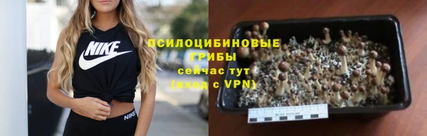 ECSTASY Абинск
