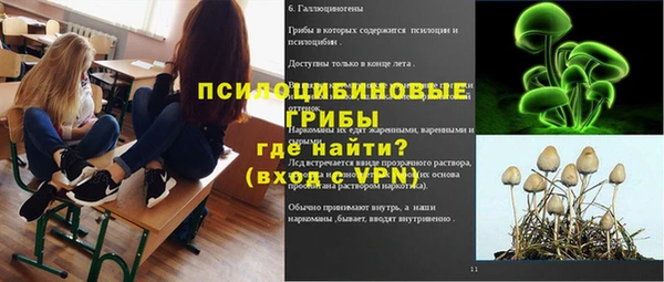 ECSTASY Абинск